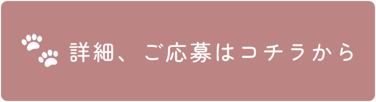 詳細、ご応募はコチラから